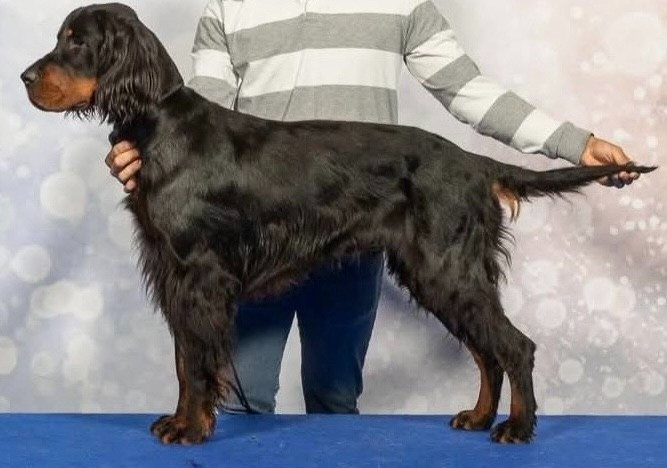 MARIAGE AU CLOS DE LA CAPITAINERIE