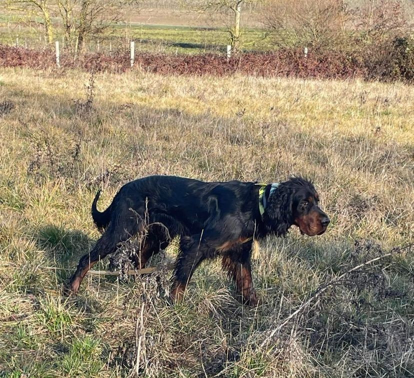 MARIAGE AU CLOS DE LA CAPITAINERIE