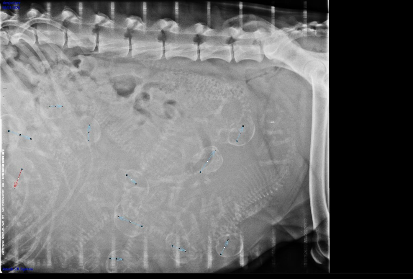 PHOTO DE FAMILLE..............