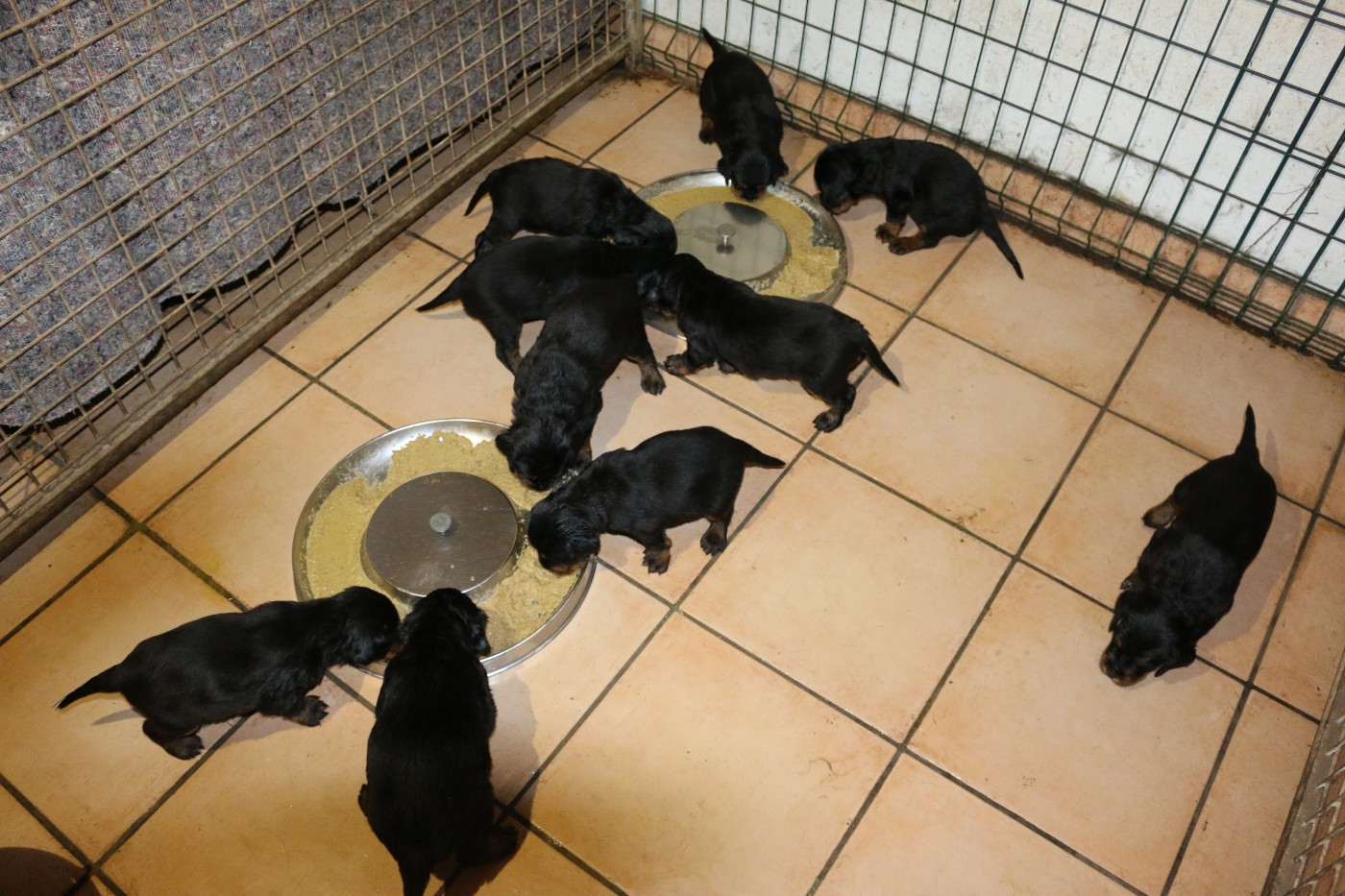 Du clos de la capitainerie - ET NOUS VOILA A 4 SEMAINES.....