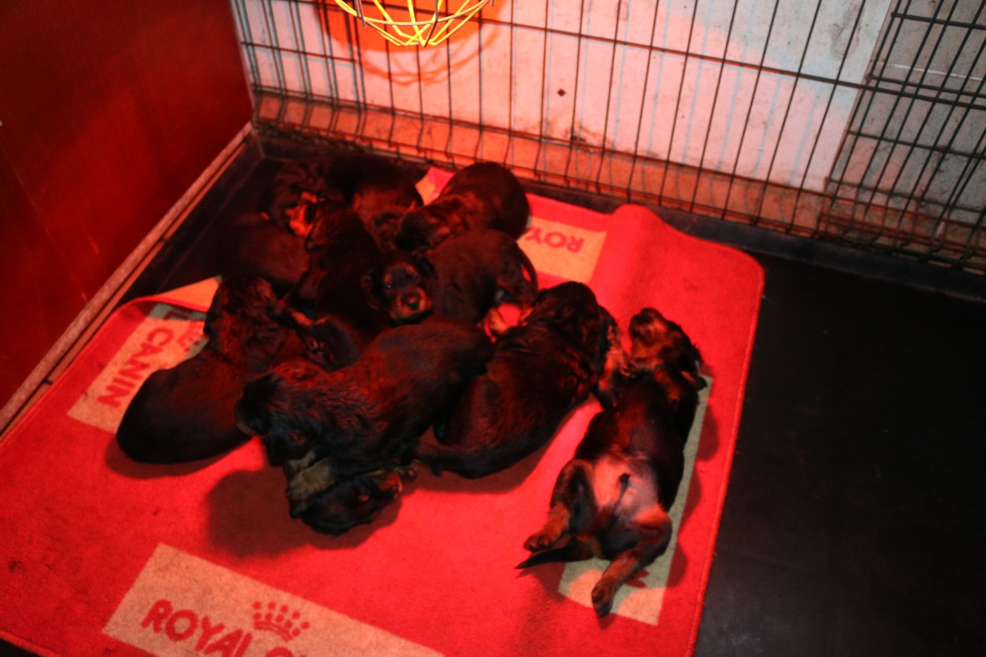 Du clos de la capitainerie - MI TEMPS ............