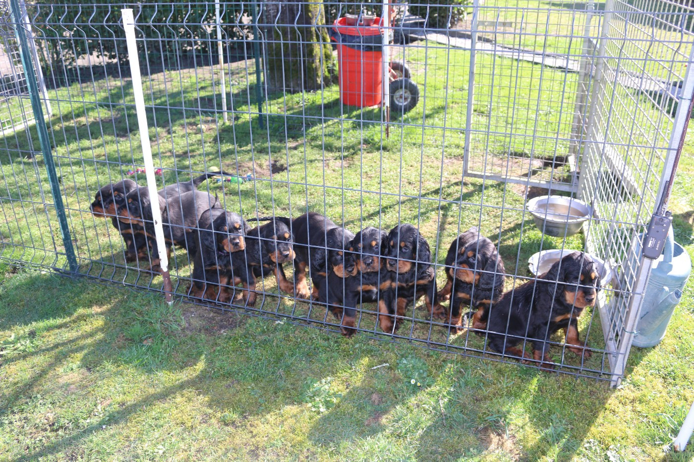 NOUS FETONS NOS 7 SEMAINES