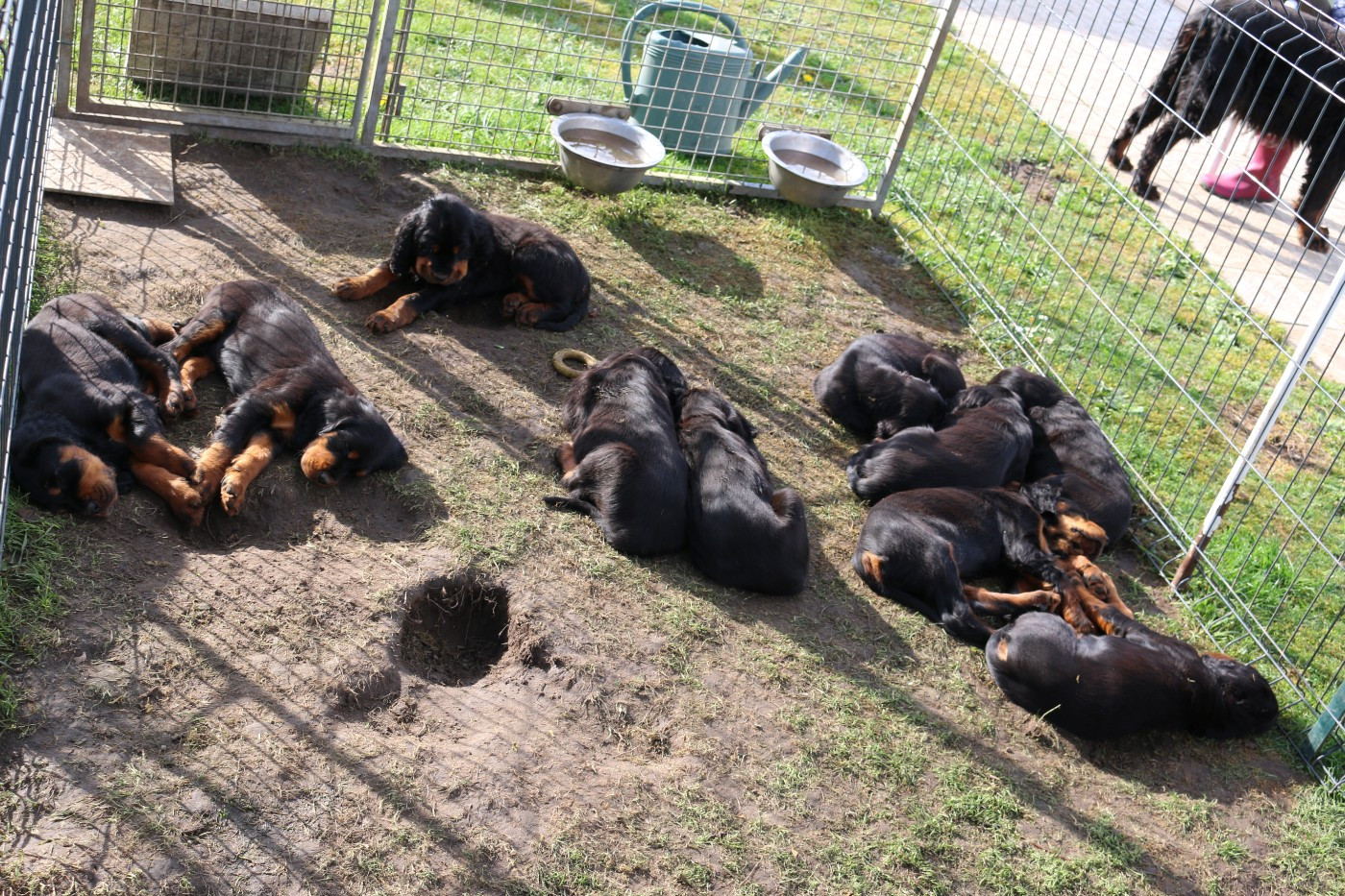 NOUS AVONS 8 SEMAINES