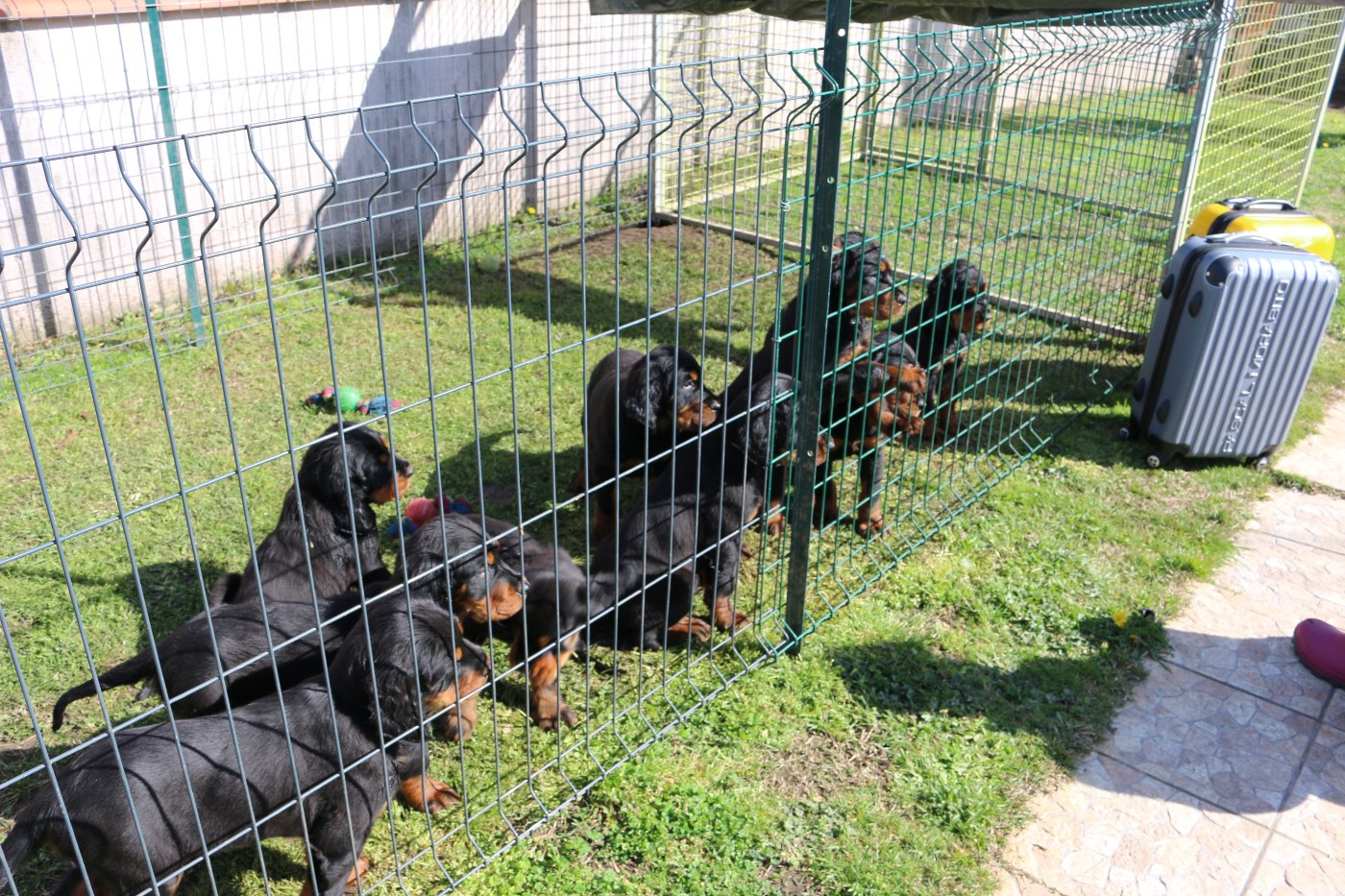 EMBARQUEMENT POUR LE DEPART